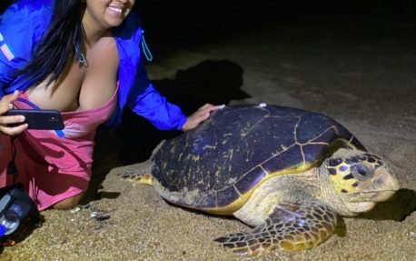 9050499b-47e0-48c0-9cf1-770e7d42afd0