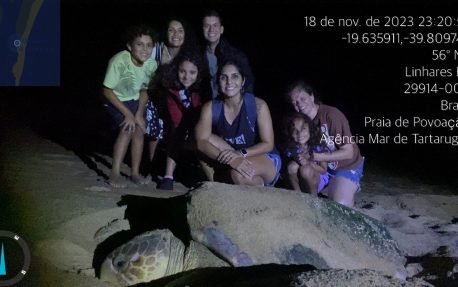 Agência Mar de Tartarugas